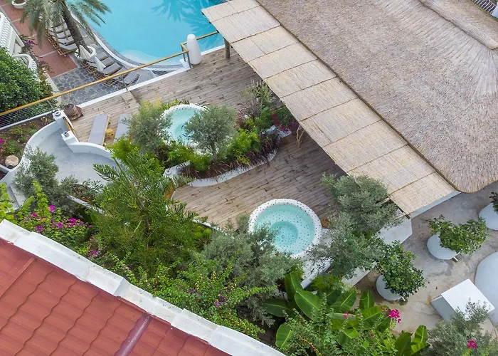 酒店 佛拉明哥酒店 3*