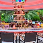 Flamingo Lisboa