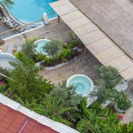 Отель Flamingo 3*