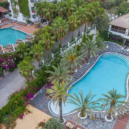 فلامينجو Lisboa