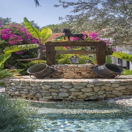 فلامينجو فندق